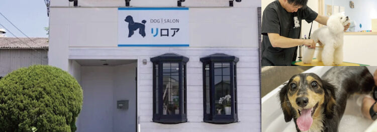 LP見て来てくれる方もいらしゃいます！