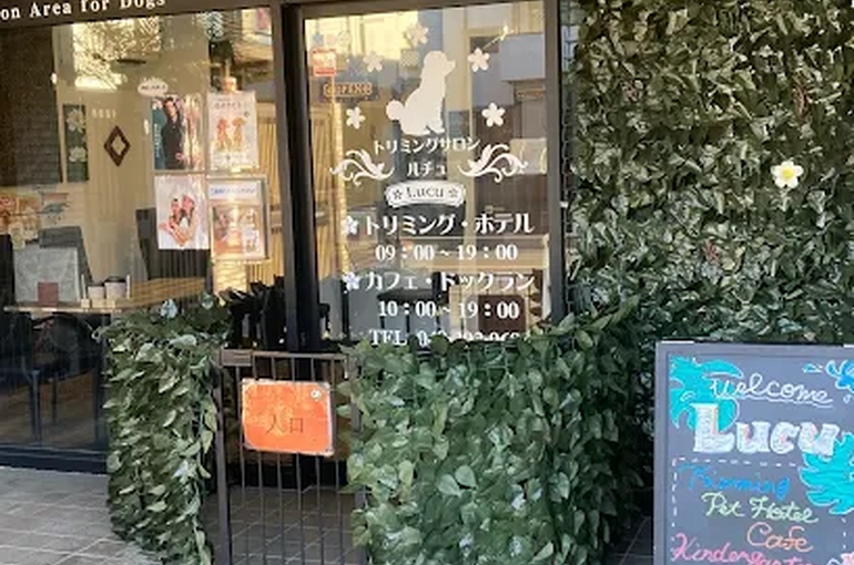    お客様の喜ぶ顔が見れるきっかけと、抜群のサポート体制   