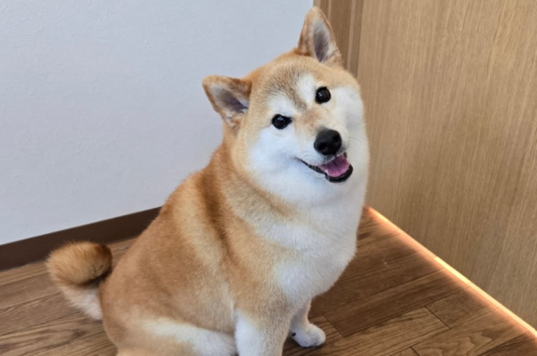    お客様のほとんどがアプリ会員様です！   