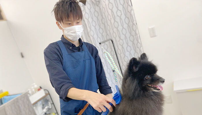 わんちゃん・お客様と長いお付き合いのためにアプリを有効活用