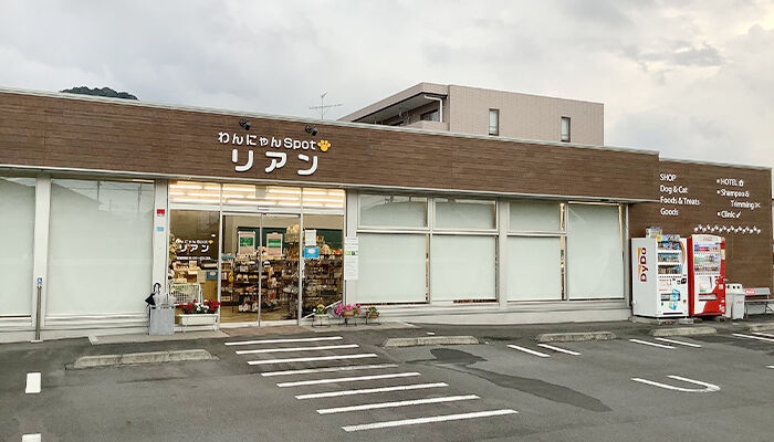アプリはお店にとって欠かせない存在になりました