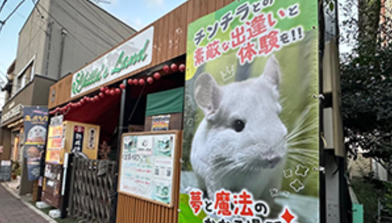 専門店の知名度を広げるためにアプリを活用
