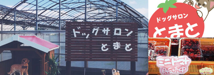 他にないアフターフォローで顧客満足度向上へ
