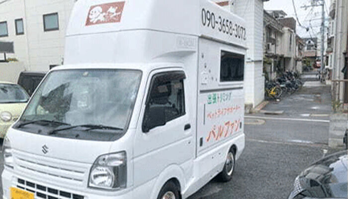 たくさんクーポンを利用してお得に施術を受けるわん！！
