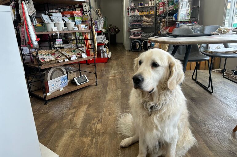    お店のカルテ記入も省けて、サービスの円滑化にも直結している   