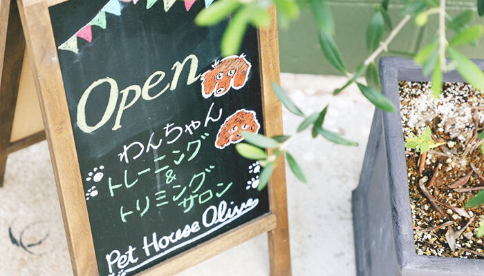ワンちゃんとの絆を深めるドッグスクール＆サロン