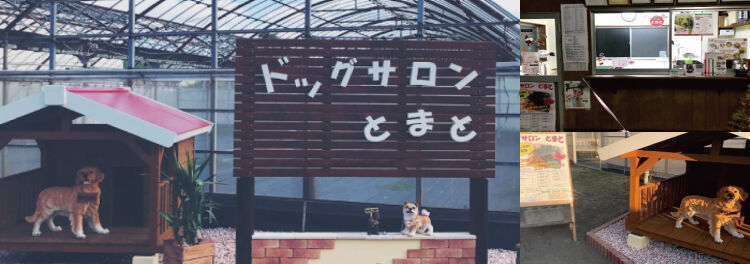 予約からポイント特典までアプリで完結！